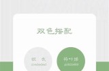 如何在抖音找到优质视频内容？探索技巧与平台资源
