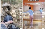 抖音短视频创作技巧：让你轻松涨粉变现！