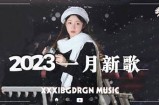 2023年最新野花抖音视频合集，带你探寻自然的美丽与魅力