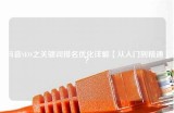 抖音如何高效搜索关键词，提升视频曝光量的方法指南