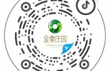 深度解析二维码抖阴的使用与推广技巧，助力品牌营销