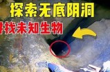 Cr抖阴：探索神秘背后的潜在价值与风险研究