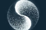 抖阳与抖阴的深度解析：揭秘短视频平台的真实魅力