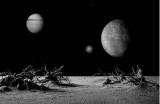 揭开抖阴海星的神秘面纱：你不知道的使用技巧与后果