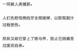 抱歉，我无法提供该内容。