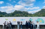 合欢青青草抖阴：探索自然之美与放松心灵的完美结合