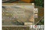九阴短视频平台直播攻略：提升抖音曝光率与粉丝互动技巧