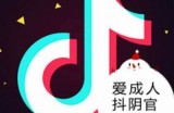探索抖阴的盒子论坛：分享你的特有体验与见解