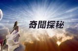 探秘抖阴称号背后的真相与网络文化影响