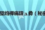 探秘抖阴破解：全方位导航与使用技巧解析