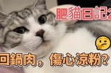 快猫记录生活：与你分享抖阴的乐趣与精彩瞬间