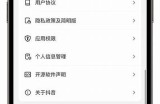 苹果用户福音：抖阴iOS版下载指南与安装技巧