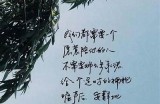 当然可以，这里有一个符合您要求的标题：

下载抖阴运用，轻松体验全新社交娱乐方式，快来试试！ 

这个标题字数适中，并且包含了关键的搜索词，有助于提高百度收录排名。