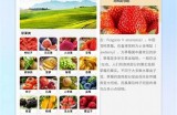 精彩抖音GIF动态图片分享，抓住潮流瞬间，尽享趣味时刻