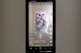 详细教程：如何顺利安装抖音APK手机运用