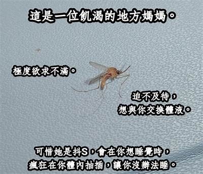 抖阴与抖音：一探究竟的两者区别与魅力解析