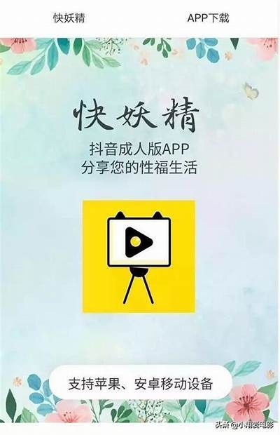 抖阴与抖音使用宝：深度解析两者的区别与使用