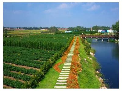 岚县阴湾美景尽收眼底，抖音短视频带你探索绝美风光！