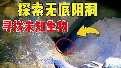 Cr抖阴：探索神秘背后的潜在价值与风险研究