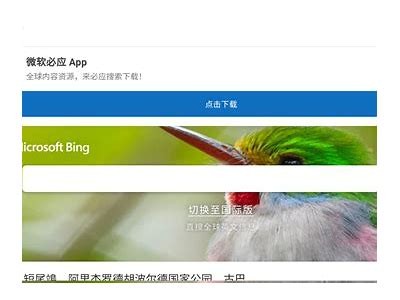 DJI 8CN抖阴国际版下载，畅享全球精彩短视频体验