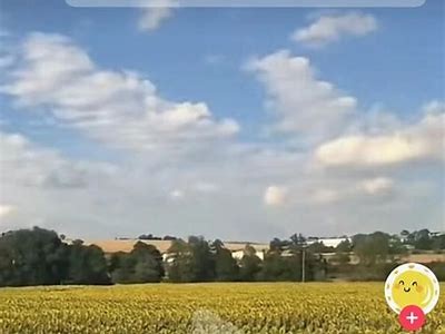 免费下载抖音小视频，轻松收藏热门短视频的绝佳途径！