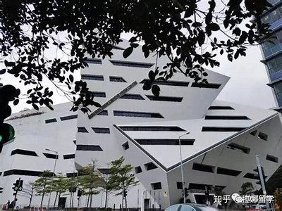 抖阴木子学院：探索新媒体创作与营销的全新视角
