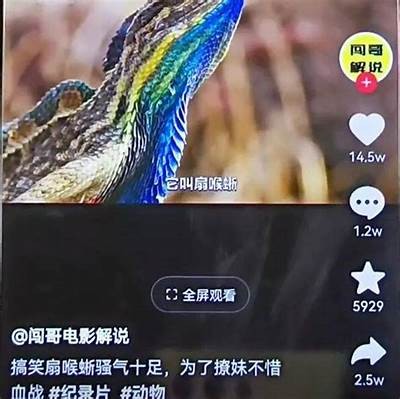 抖音怎么抖？掌握这5个技巧，轻松提高视频点赞量！