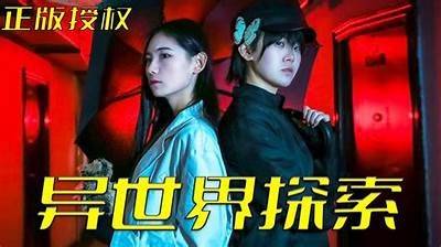 探秘阴与阳的奇妙世界，揭示生活中的阴阳哲学与平衡之道
