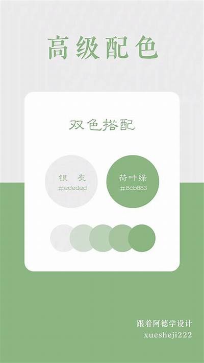 抖阴西瓜视频：带你探索最热门短视频内容与潮流方向