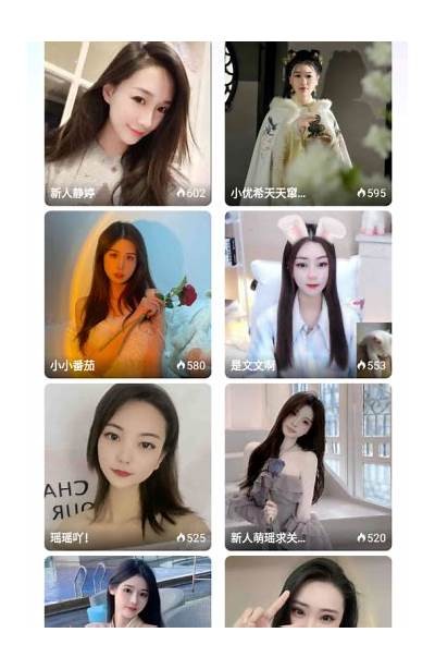 抖阴破解版真的有毒吗？深度解析及使用风险评估