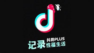 抖阴宝盒软件下载：安全稳定的手机使用获取指南