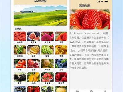 精彩抖音GIF动态图片分享，抓住潮流瞬间，尽享趣味时刻