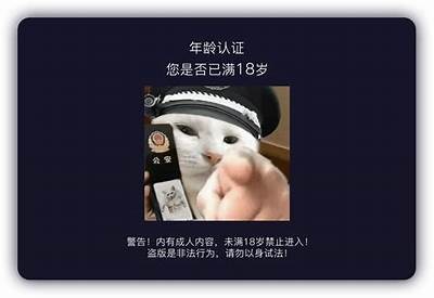 抖阴台湾视频教程：轻松学会拍摄与编辑技巧