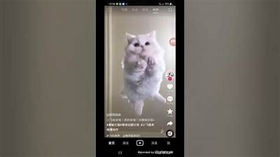 详细教程：如何顺利安装抖音APK手机使用