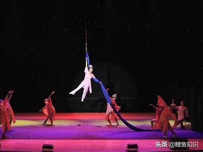 2018抖阴台湾版：探索流行文化与社交娱乐的新体验