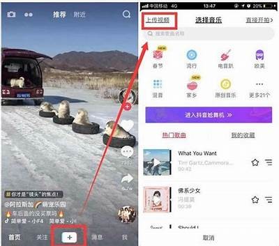 如何顺利登录抖阴台湾？详细步骤解析与技巧分享