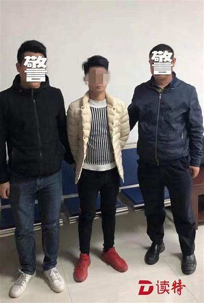 成人抖音：揭示短视频中的成人内容与社会影响研究