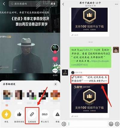 完整解析抖阴视频制作技巧，轻松上手快速涨粉指南