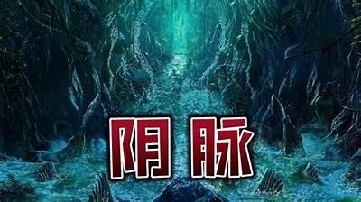 探索十三抖阴情况：揭秘它如何影响年轻人的社交生活
