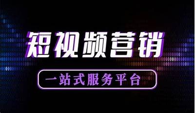 抖音热门邮箱格式解析：如何提升百度收录排名