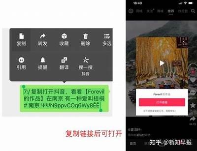 抖音1.56版本无法联网处理方式方式，快速恢复连接技巧分享